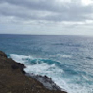 Meet your Posher, Bradley